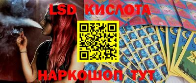 гидропоника Будённовск