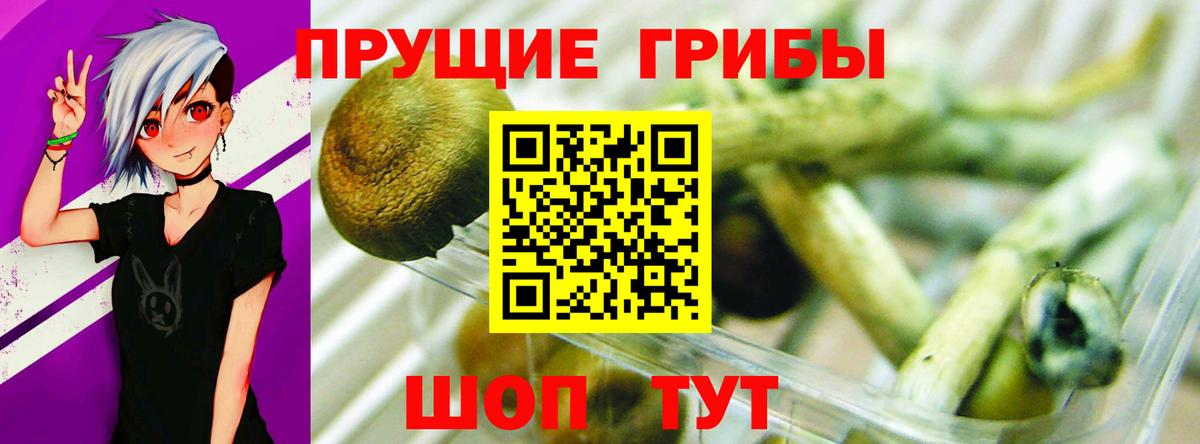 Псилоцибиновые грибы мухоморы Тайшет